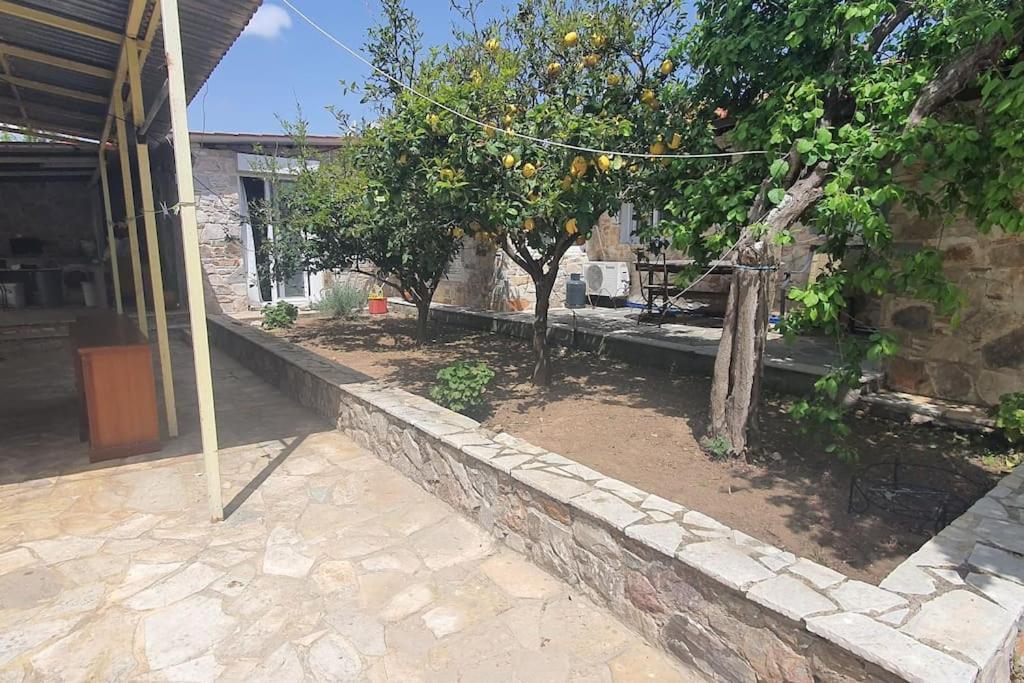 FofolaConfortable House In Nature公寓 外观 照片